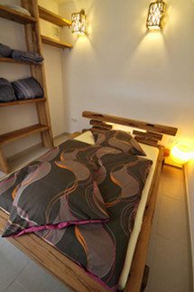 Plants: image 9 0f 10 thumb